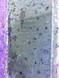 image of grave number 385936